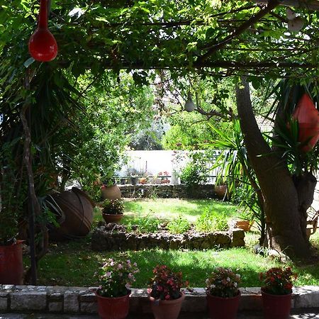 Chouchounikos Apartments Lefokastro Ngoại thất bức ảnh